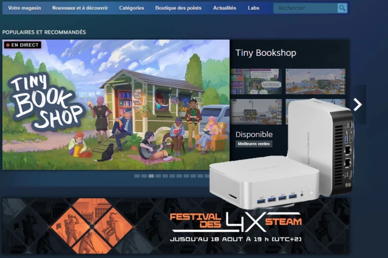 steam pc